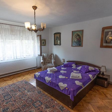 Doi Bujori Appartement Alba Iulia Buitenkant foto