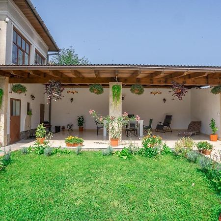 Doi Bujori Appartement Alba Iulia Buitenkant foto