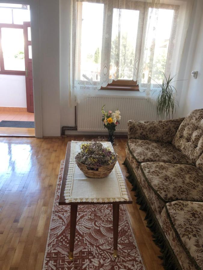 Doi Bujori Appartement Alba Iulia Buitenkant foto