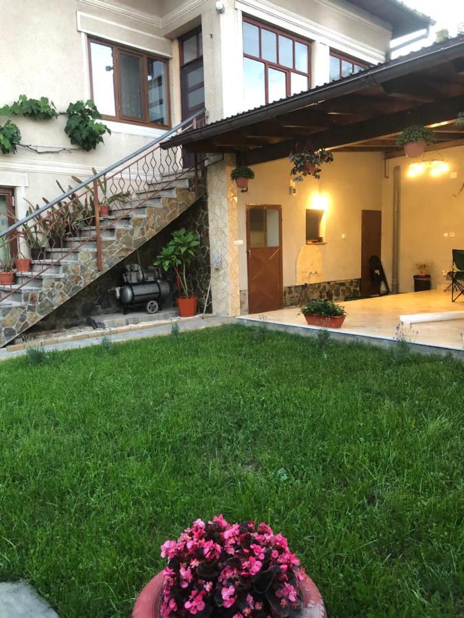 Doi Bujori Appartement Alba Iulia Buitenkant foto