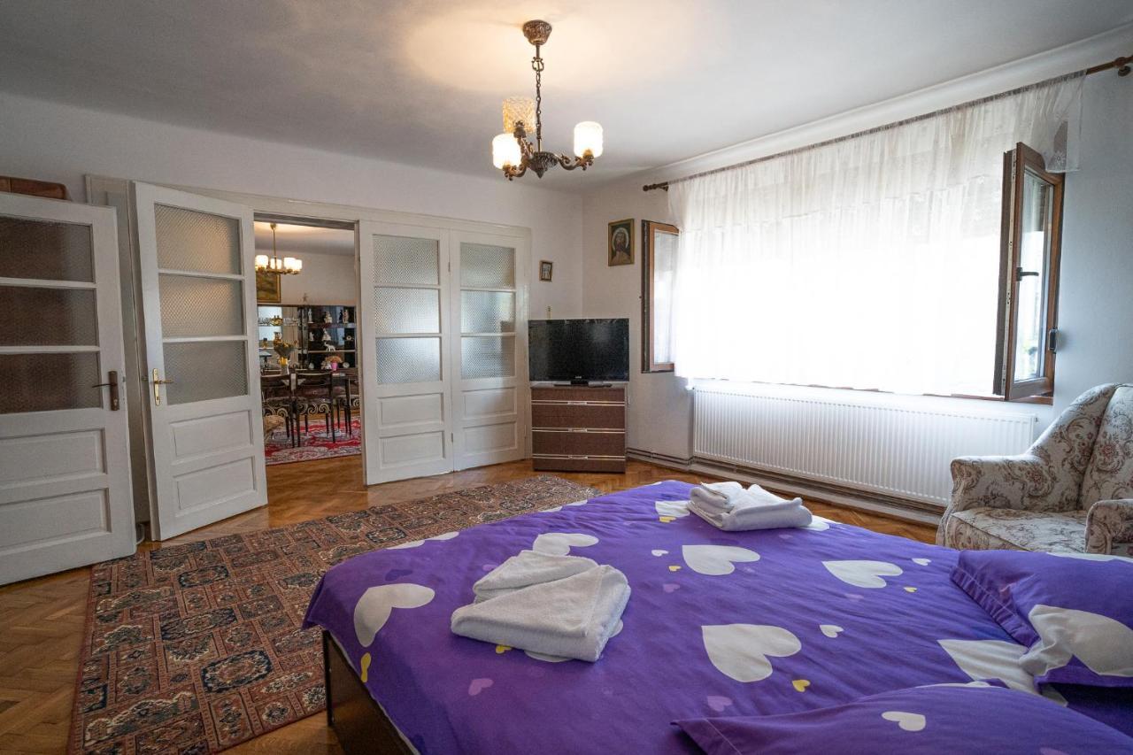 Doi Bujori Appartement Alba Iulia Buitenkant foto