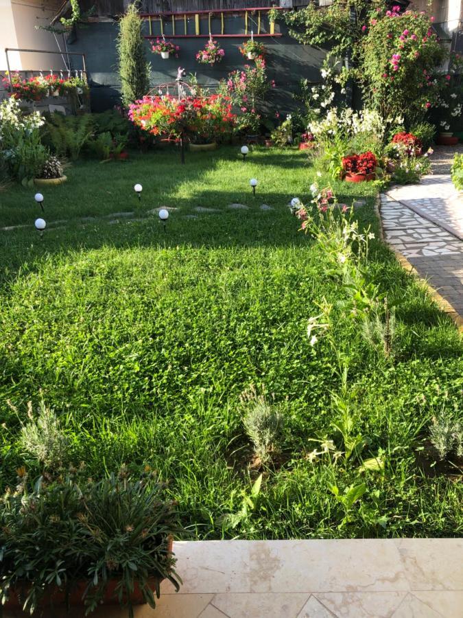Doi Bujori Appartement Alba Iulia Buitenkant foto