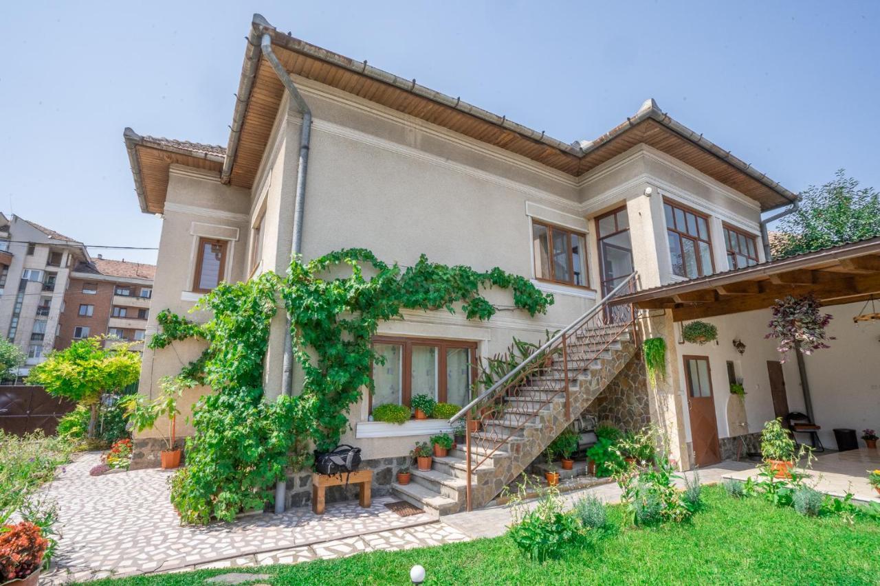 Doi Bujori Appartement Alba Iulia Buitenkant foto