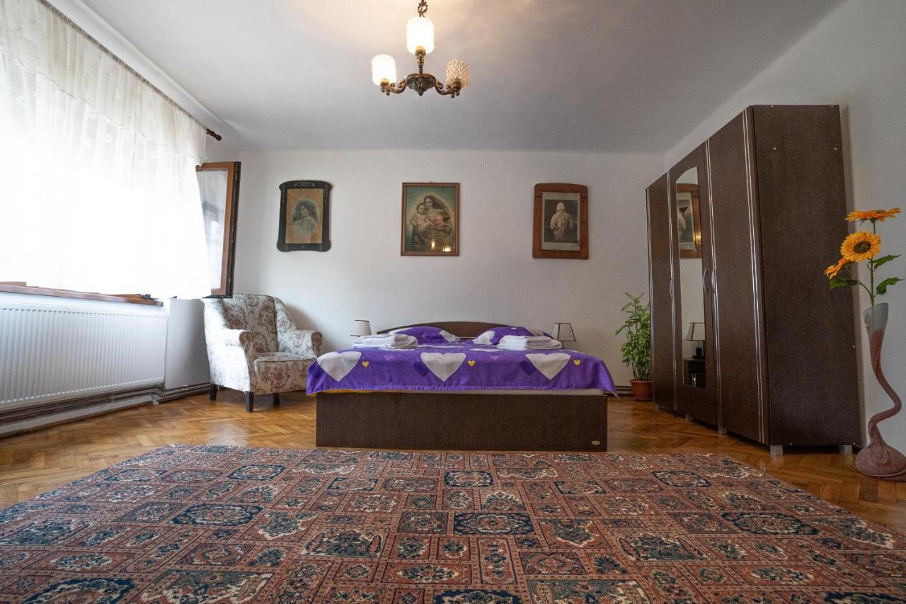 Doi Bujori Appartement Alba Iulia Buitenkant foto