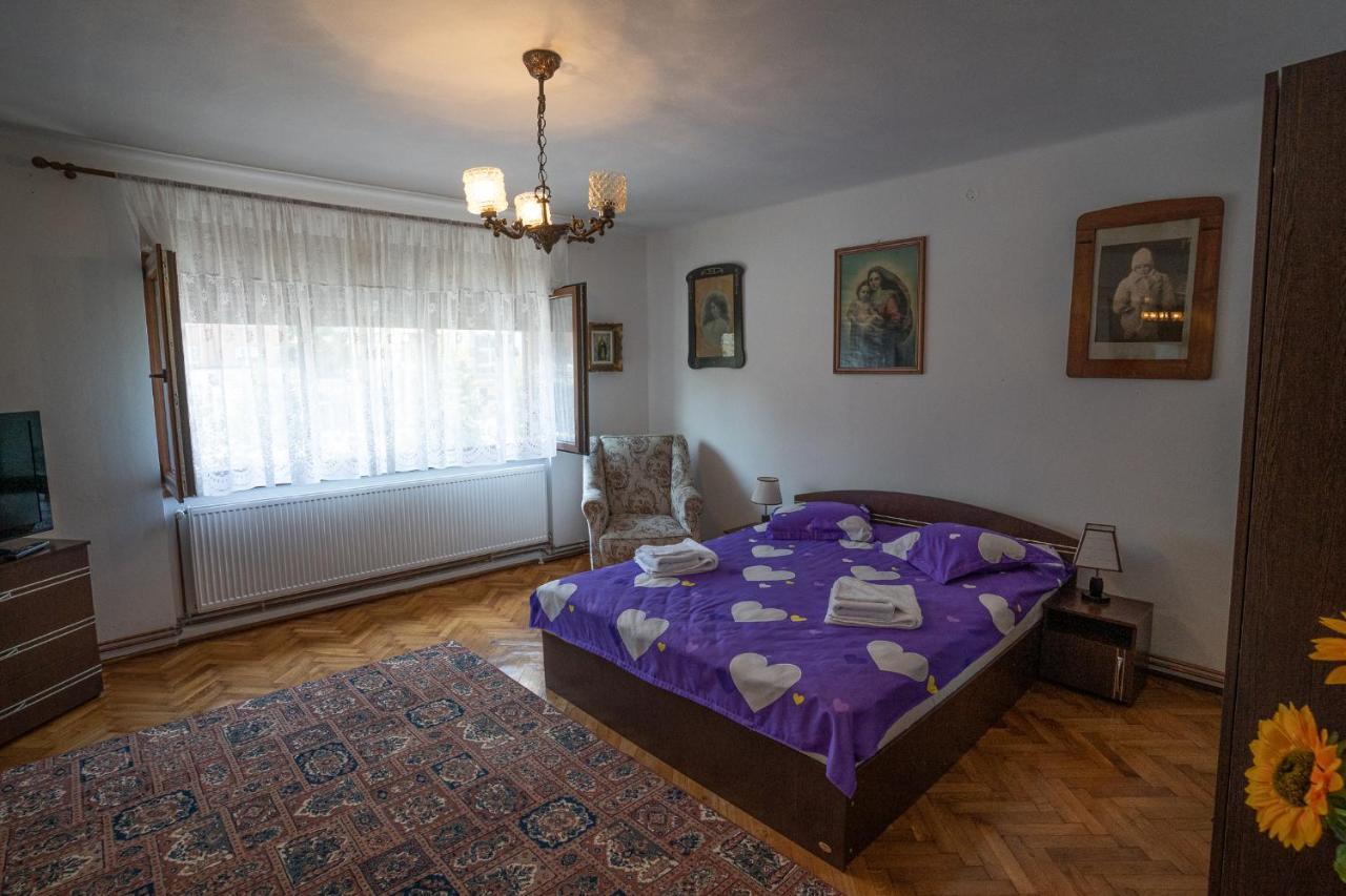 Doi Bujori Appartement Alba Iulia Buitenkant foto
